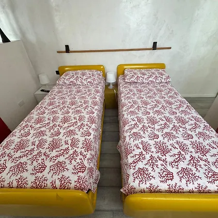 Terrace Center - Yellow Daire